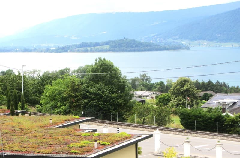 Green roof with plants and small trees, overlooking a lake and distant mountains, with a road and railway tracks visible.
