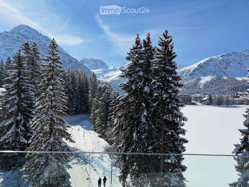 Snowy landscape with pine trees, mountains, and a clear blue sky