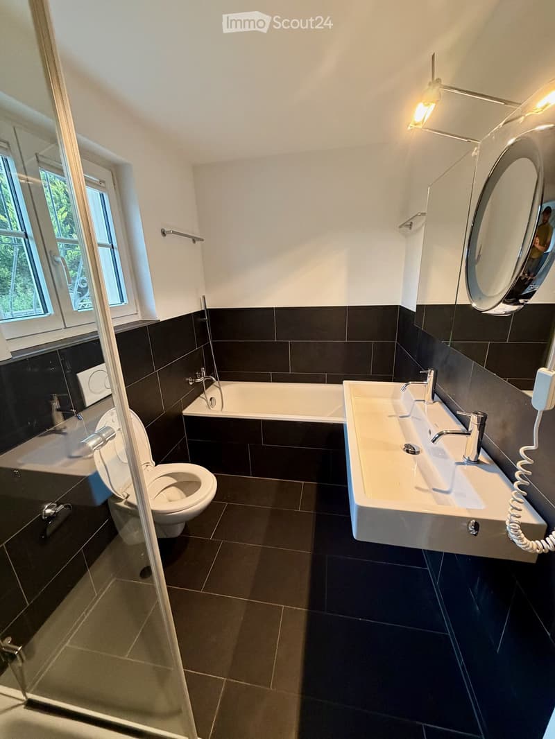 Modern bathroom with dark tiles, a bathtub, toilet, sink, and a large mirror. Features a glass shower enclosure and a window with a view of greenery.