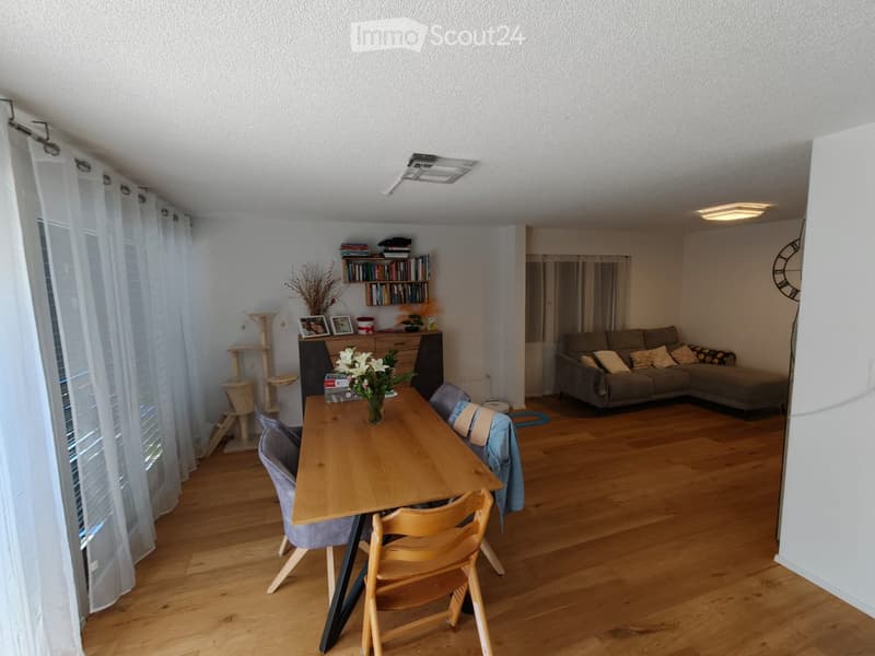A modern living and dining area with wooden flooring, a grey sectional sofa, a wooden dining table with chairs, a cat tree, a bookshelf, and decorative items including a flower vase and a wall clock.