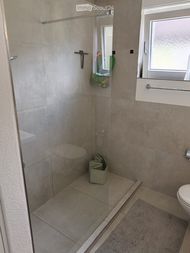 Modern bathroom with a glass-enclosed shower, toilet, and a small storage basket inside the shower. A grey bathroom rug is placed next to the toilet.
