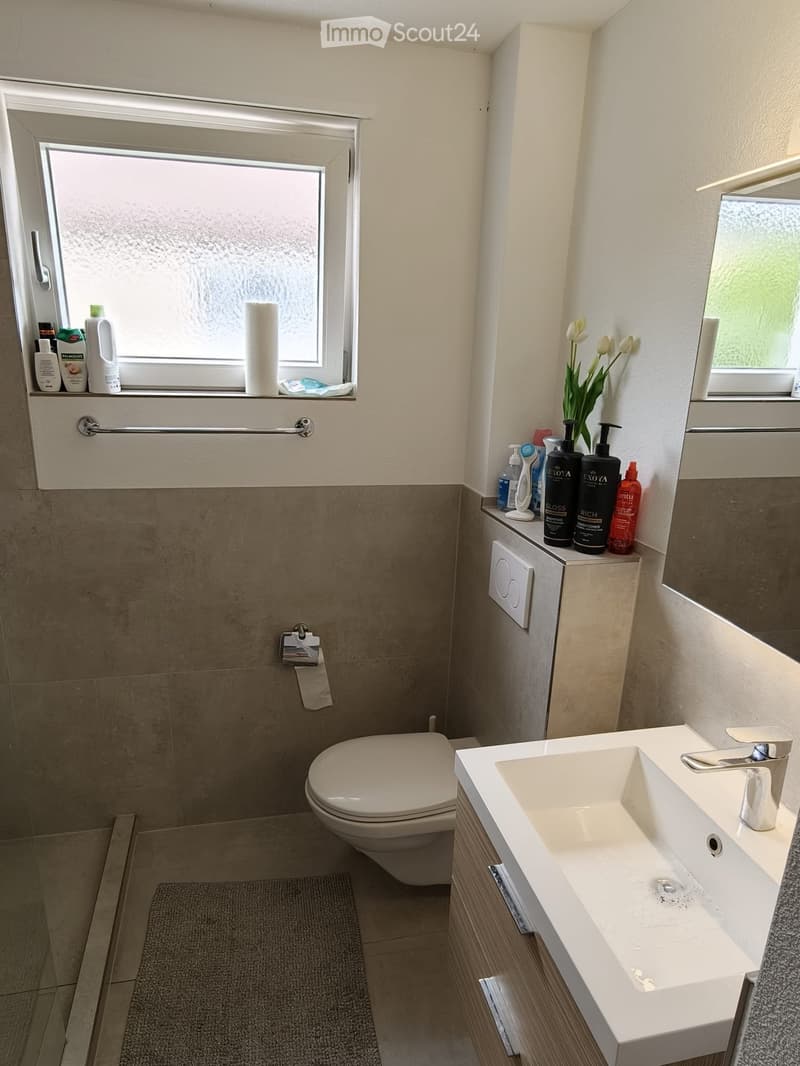 Modern bathroom with a white sink, chrome faucet, toilet, mirror, and wooden cabinet. Toiletries and a flower vase are on the cabinet. A towel rack is mounted on the wall above the toilet.