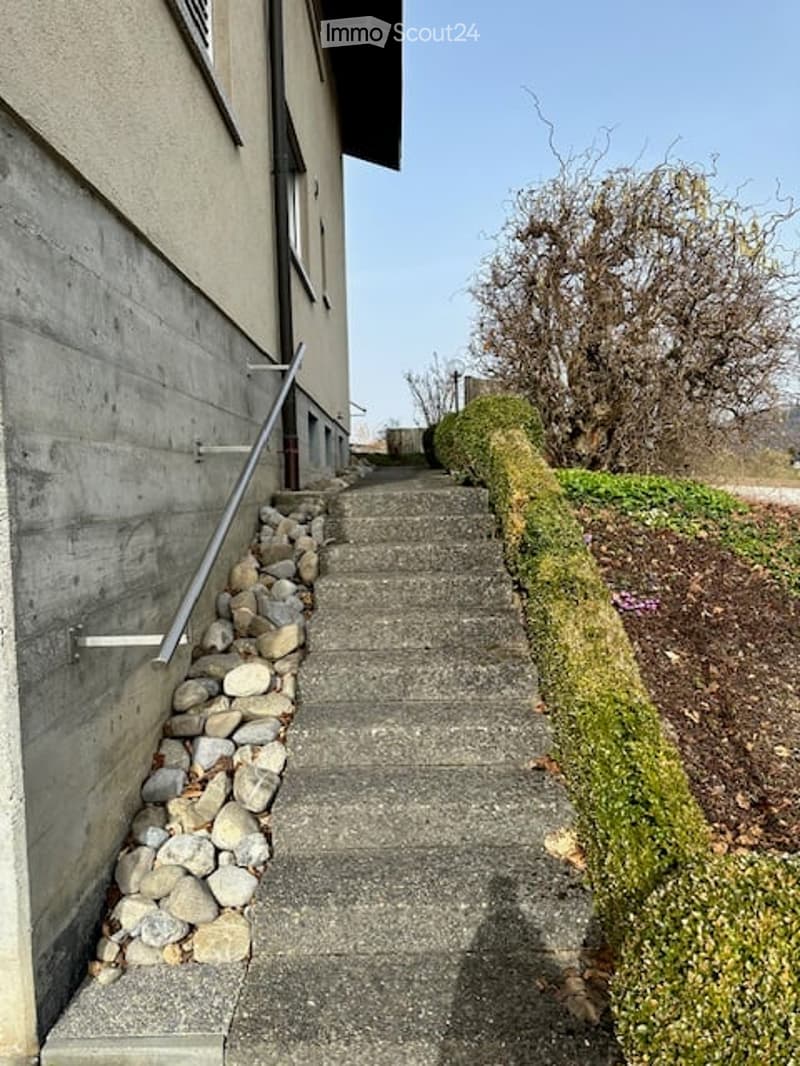 Concrete staircase leading up to a building entrance, bordered by a low hedge and rocks.