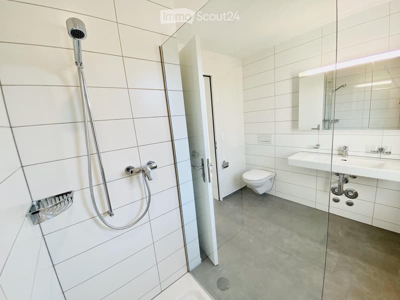 Modern bathroom with white tiles, a glass-enclosed shower, a toilet, a sink with a mirror, and a shower rack.