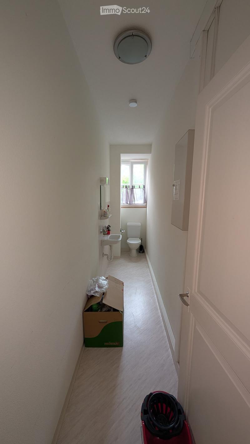 A narrow hallway with light-colored walls and wooden flooring, leading to a small bathroom with a toilet, sink, and window. A cardboard box is placed against the wall, and a vacuum cleaner is visible in the foreground.