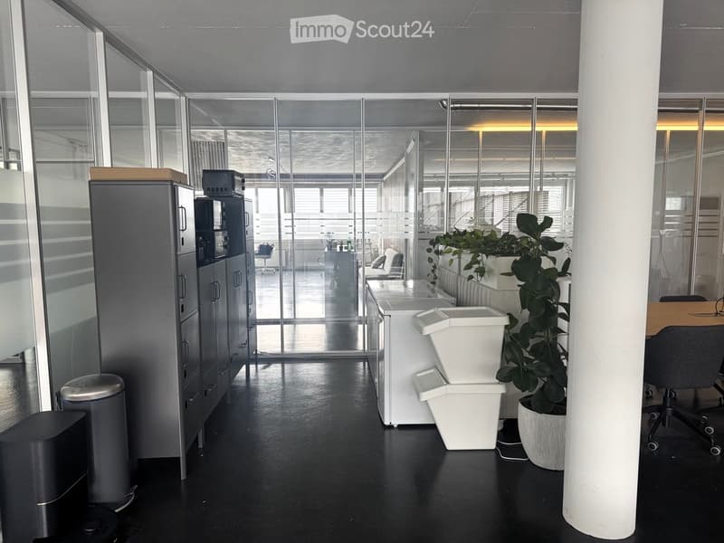 Modern office space with black flooring, glass partitions, a large potted plant, a white trash bin, and a cabinet with a TV on top.