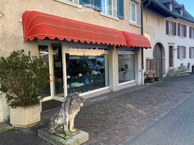 Store front with red awnings, display window, statue of a lion, potted plant, wooden bench on steps, red brick pavement.