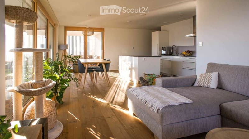 Open-plan living and dining area with a grey sectional sofa, coffee table, cat tree, dining table with chairs, and a modern kitchen with white cabinets and stainless steel appliances.