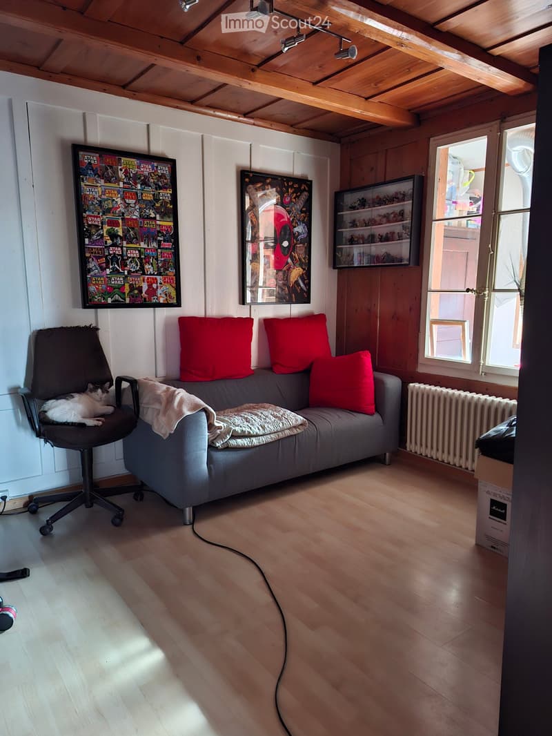Cozy living room with wooden floor, grey sofa with red cushions, a cat on a chair, and artwork on the walls.