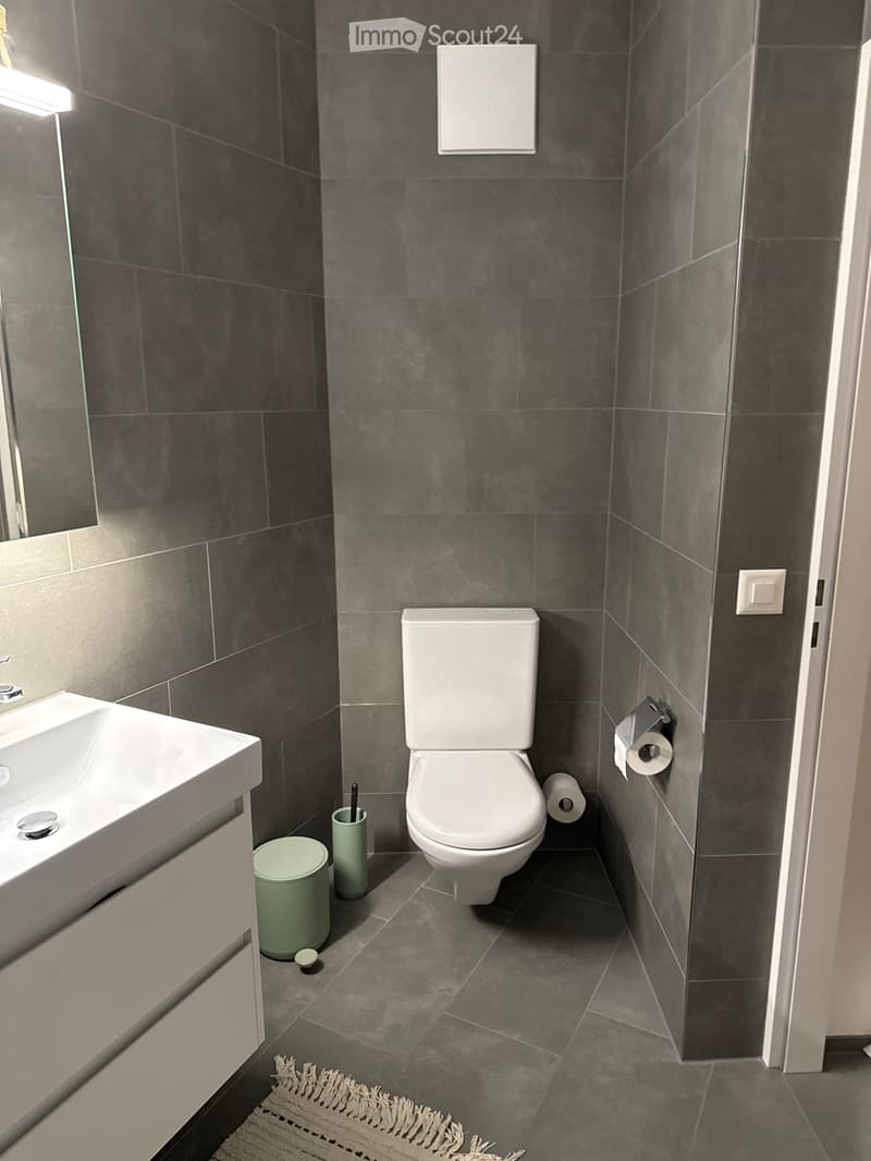 Modern bathroom with dark grey tiles, white toilet, sink, and a small trash can. Toilet paper is stored on a holder and a brush holder is placed next to the toilet. A small woven rug is on the floor.