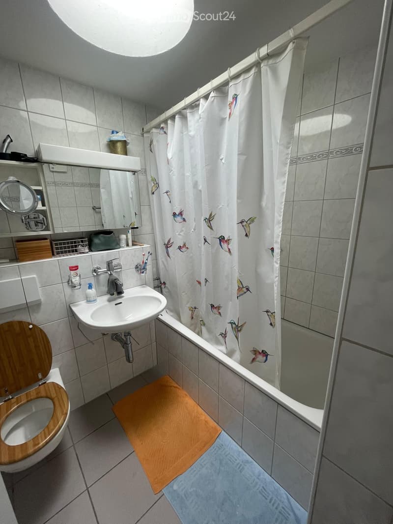 Bathroom with a toilet, sink, mirror, and shower area. The shower curtain features hummingbirds. A wooden toilet seat and a small wooden bath mat are visible.