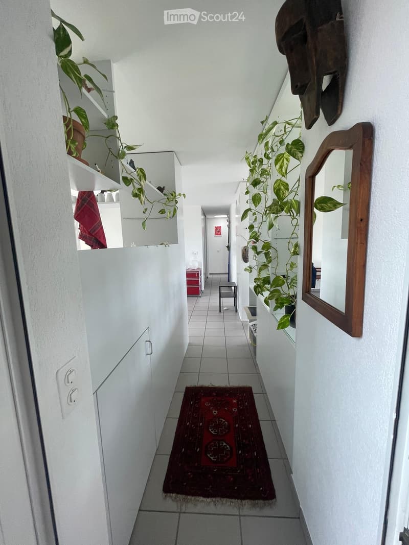 A narrow hallway with white walls, tiled floor, and a red runner rug. There are potted plants on shelves and a mirror on the right wall.