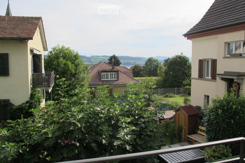 House with brown roof, balcony, garden, shed, and a view of the mountains
