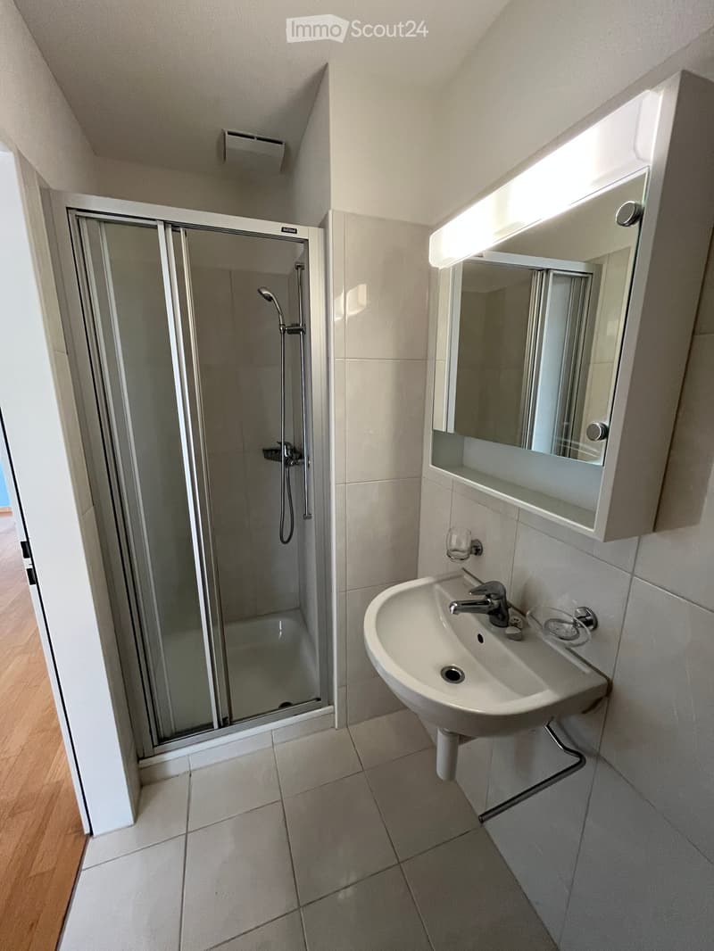 Modern bathroom with a white sink, mirror cabinet, and a glass-enclosed shower stall.