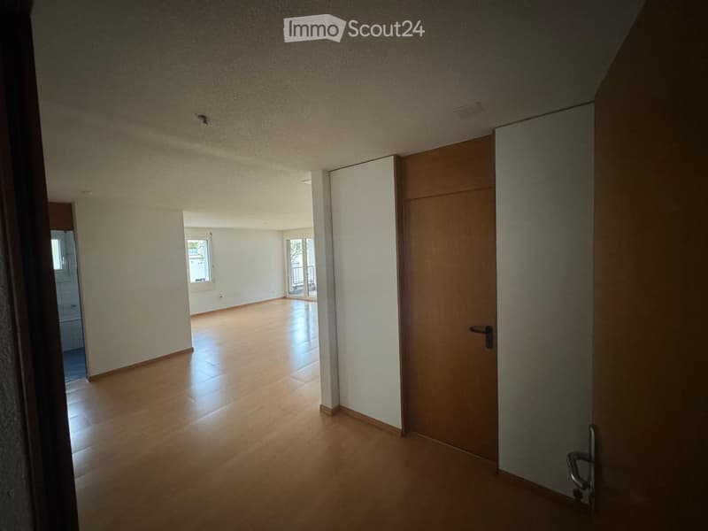 Empty hallway with wooden flooring, white walls, and a closed wooden door. Natural light streams in from a window at the end of the hallway.