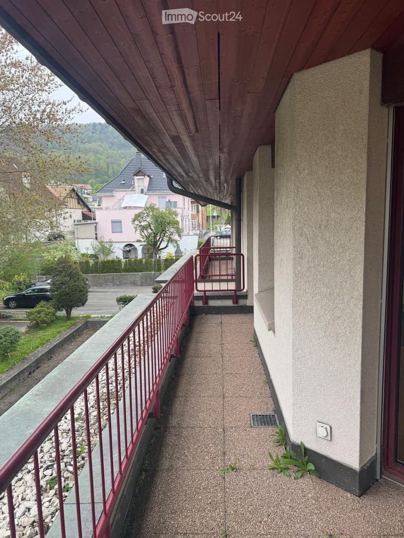 Balcony with red metal railing, concrete floor, and small plants growing near the wall.