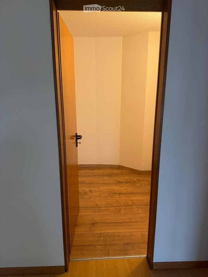 Empty room with wooden flooring and light-colored walls, viewed through an open wooden door.