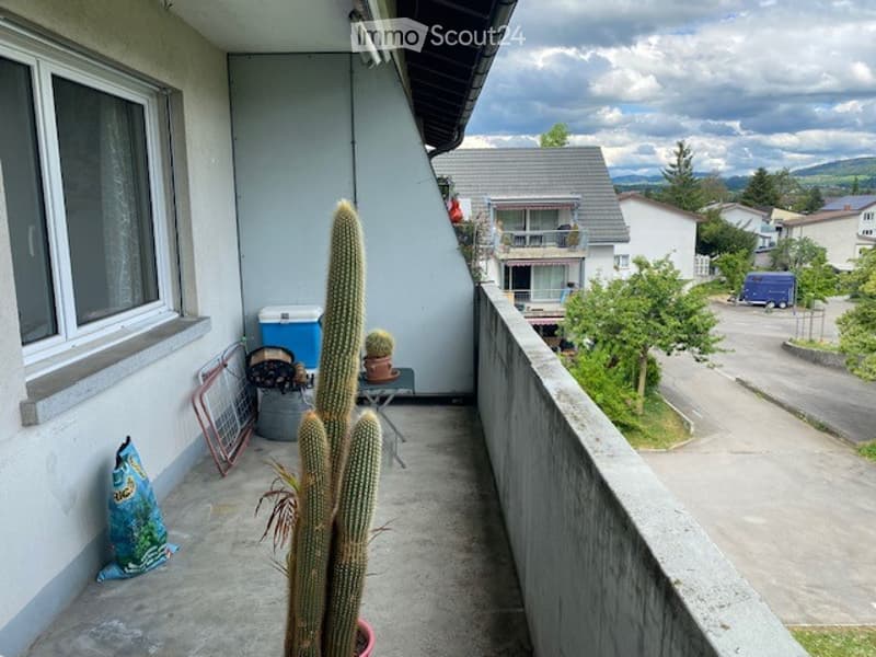 Balcony with a view of the surrounding area, featuring a few potted plants and a small table.