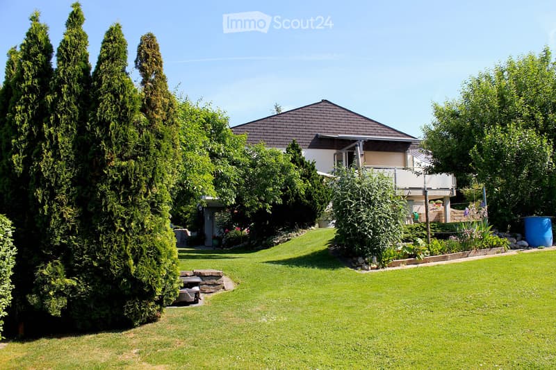 Well-maintained garden with a lawn, tall coniferous trees, shrubs, and a modern house with a balcony in the background.