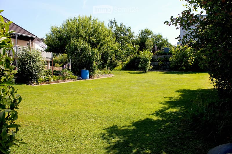Well-maintained lawn surrounded by trees and shrubs, with a house visible in the background and a blue barrel near the edge of the lawn.