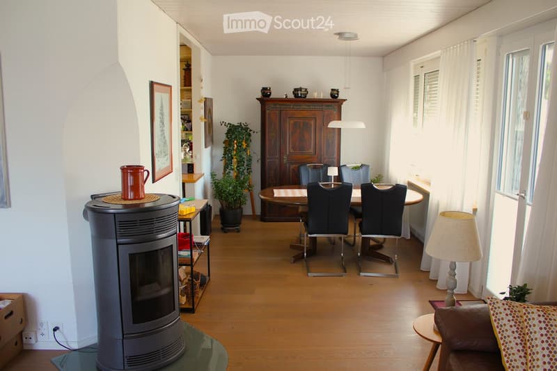 A well-lit living and dining area with wooden flooring, a fireplace, a sofa, a dining table with chairs, a cabinet, and a potted plant.