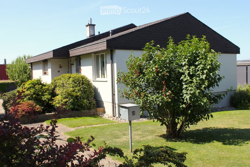 Single-story house with white walls, dark roof, and chimney. The house has multiple windows and is surrounded by a well-maintained lawn, shrubs, and trees.