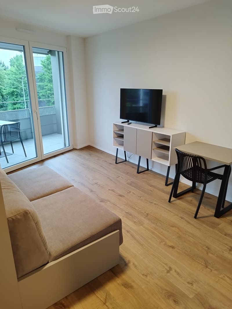 Modern furnished room with a sofa, TV on a cabinet, desk with chair, and large sliding glass doors leading to a balcony.