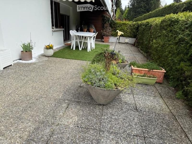 Outdoor patio area with a dining set, potted plants, and a small green rug.