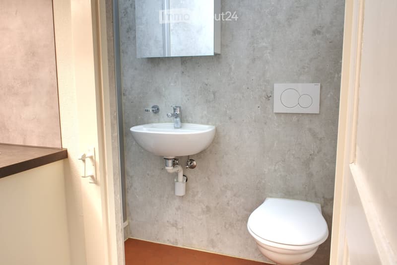 small bathroom with sink, toilet, and mirror
