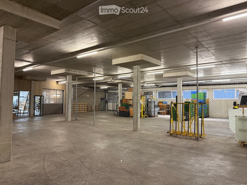 Empty warehouse space with concrete floors, exposed wooden ceiling beams, and industrial lighting. Features include large metal pillars, a fenced-off storage area, and a partially visible office area with desks and chairs.