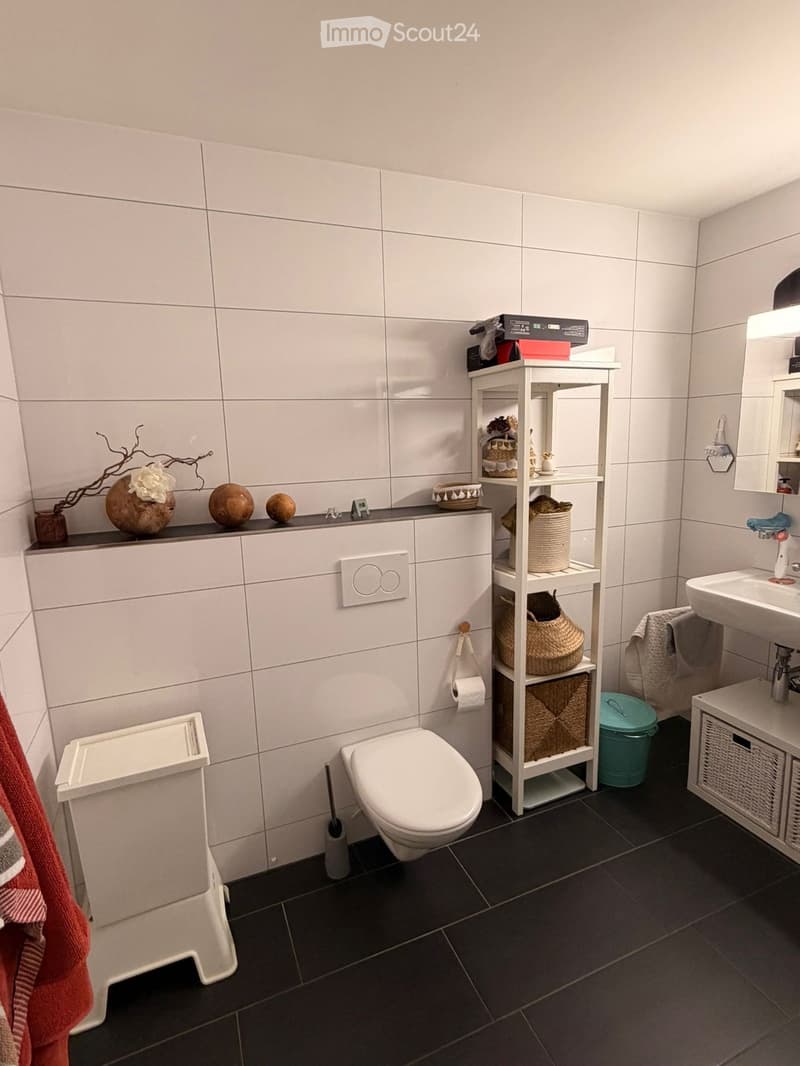 Modern bathroom with white tiles, black floor, toilet, sink, mirror, shelf with baskets, decorative balls, and a plant on the counter.