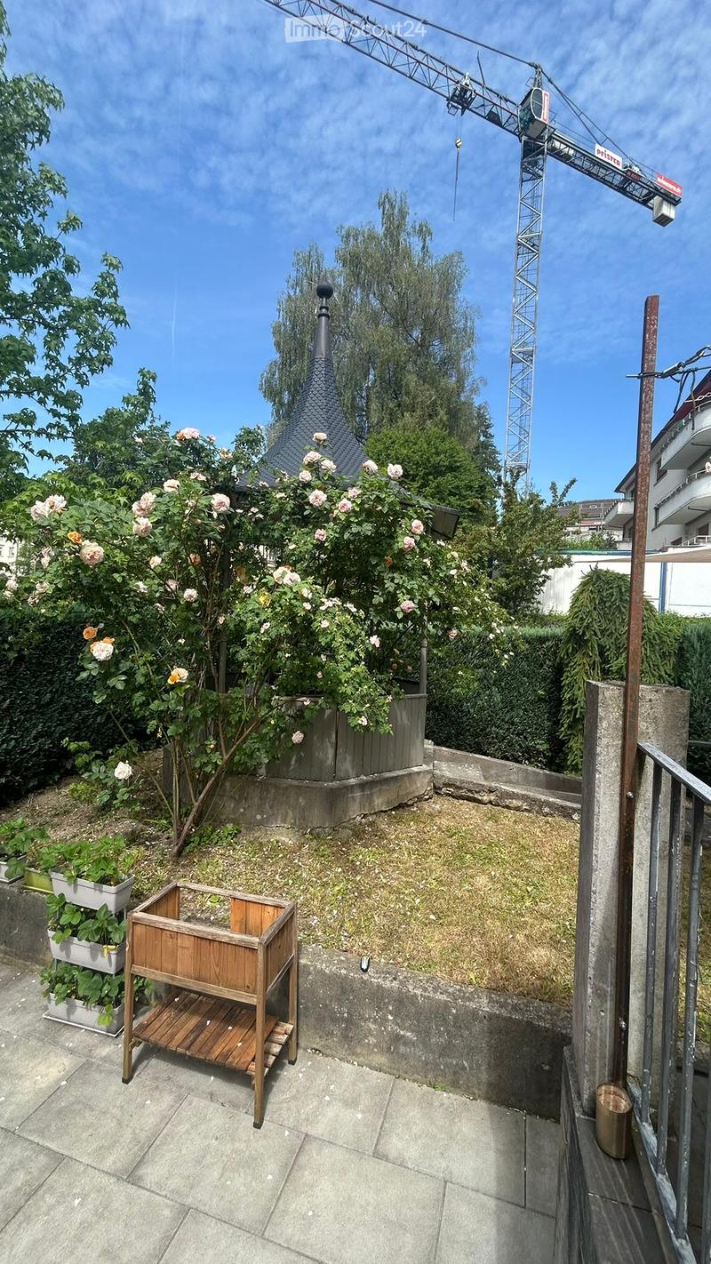 Garden area with wooden planter, potted plants, and a raised concrete platform with grass and flowers.