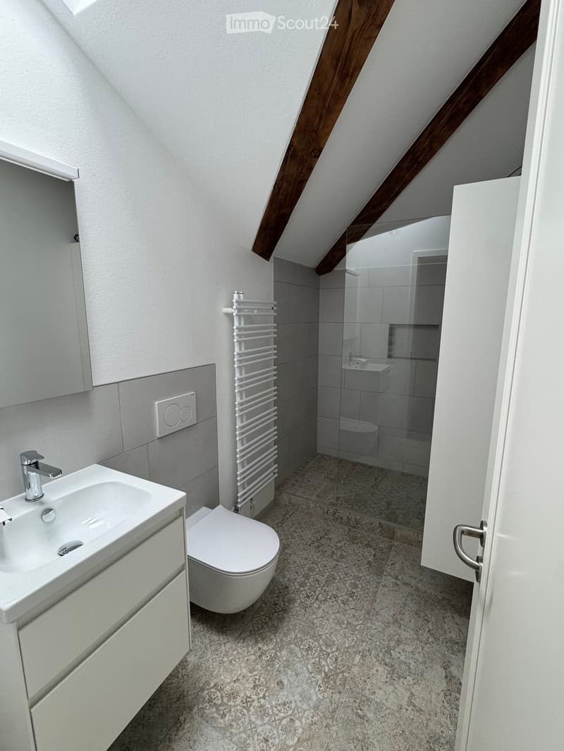 Modern bathroom with a white sink, chrome faucet, toilet, radiator, and a glass-enclosed shower area.
