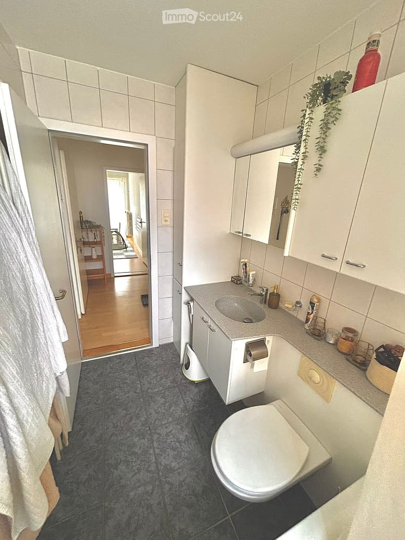 Modern bathroom with a sink, toilet, mirror, and cabinet. The floor is tiled, and a towel hangs on the side. A small plant is placed on the cabinet.