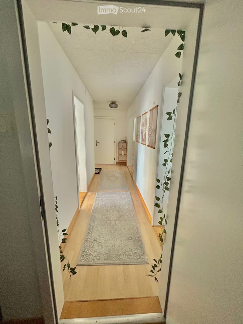 A narrow hallway with light wooden flooring, white walls, and two area rugs placed side by side. The hallway features a small shelf with items and framed pictures on the right wall, with a small plant decoration visible on the left side.
