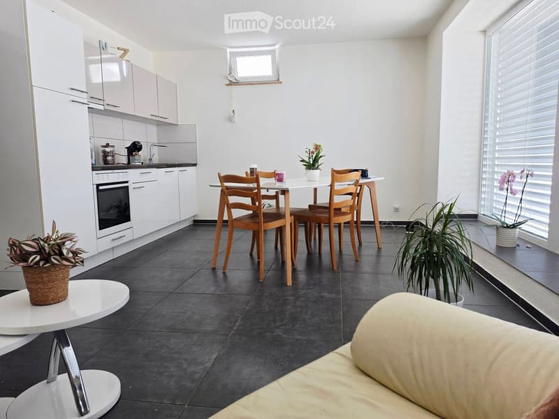 Open-plan living and dining area with a sofa, dining table with chairs, kitchen cabinets, and potted plants.