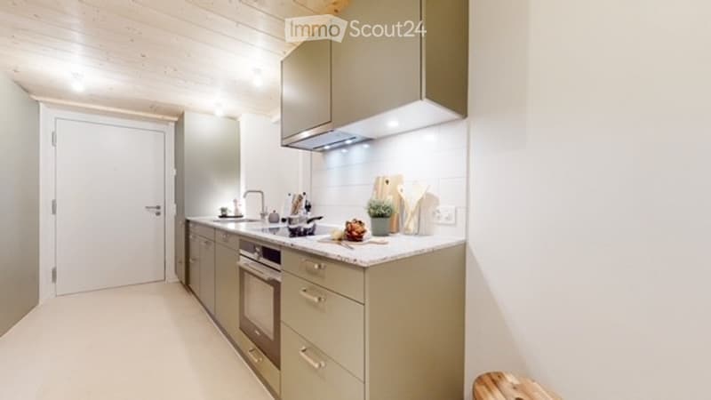 Modern kitchen with light grey cabinets, white countertop, stainless steel appliances, and a small plant on the counter.