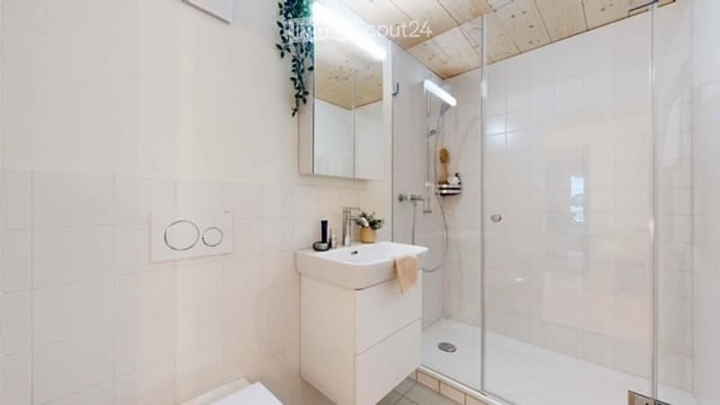 Modern bathroom with white tiles, a glass-enclosed shower, a sink with a mirror, and a small plant on the sink counter.