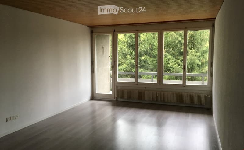 empty room, white walls, wooden floor, large windows, balcony