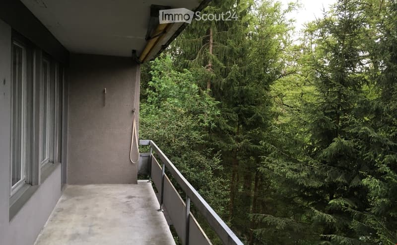 Balcony, railings, green trees