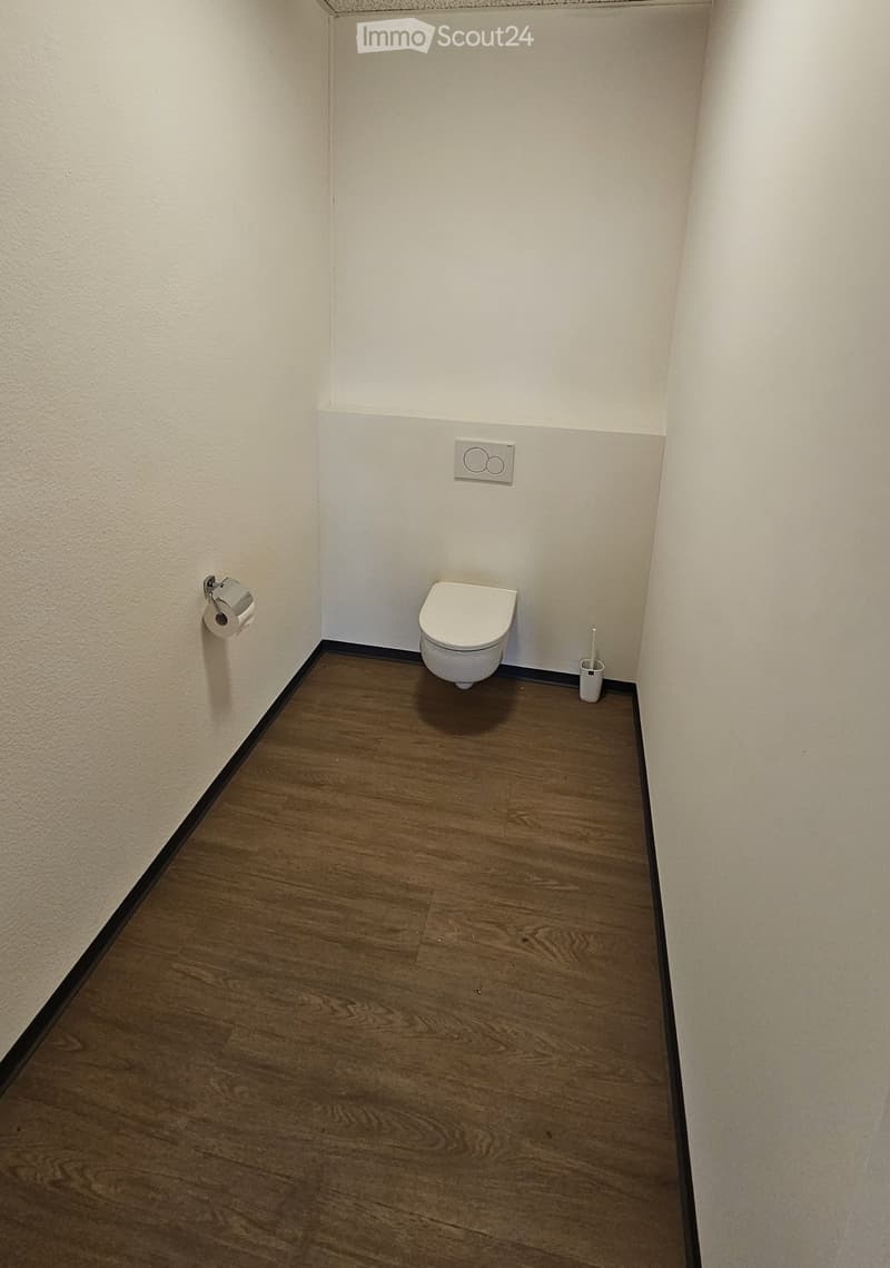 Small bathroom with wooden flooring, white walls, toilet, toilet paper holder, and toothbrush holder.