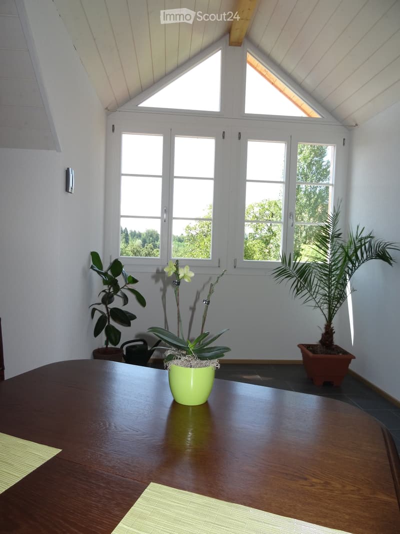 Bright room with large windows and skylights, wooden table with potted plants and a teapot, green potted orchid on the table, and additional potted plants around the room.