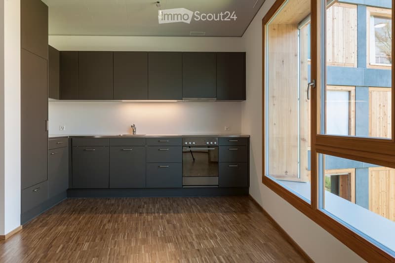 modern kitchen, dark gray cabinets, wooden floor, stainless steel countertop, oven and sink area, large window