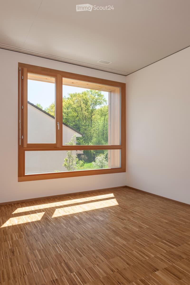 Large window with wooden frame, wooden floor, white walls, bright and open space