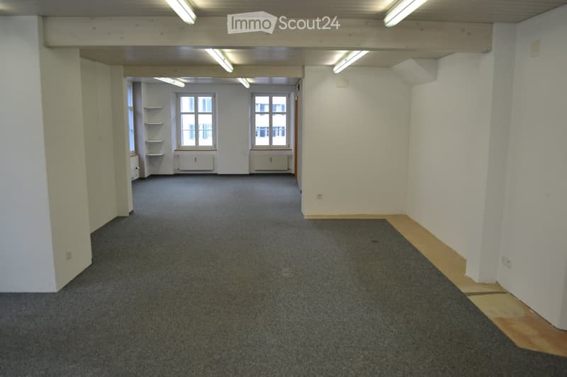 empty room, carpeted floor, white walls, windows, shelves, radiators, ceiling lights