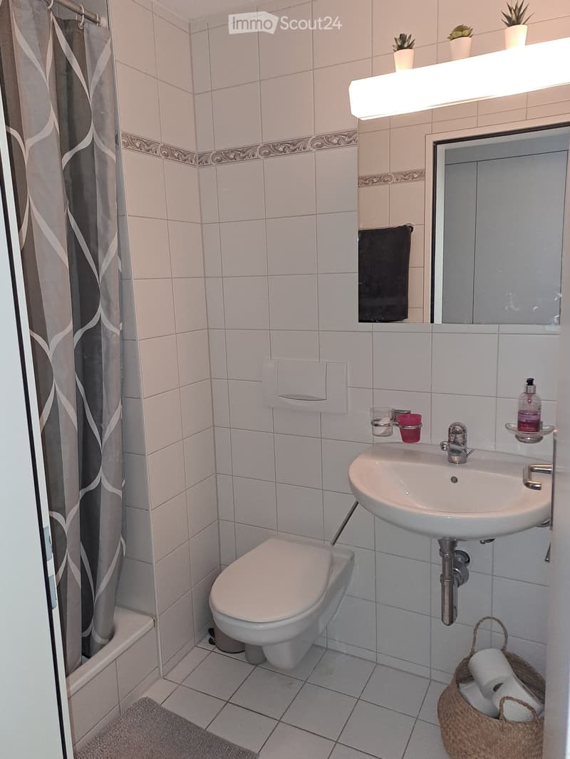 Bathroom with white tiles, toilet, sink, mirror, shower curtain, basket with toilet paper, potted plants on the shelf
