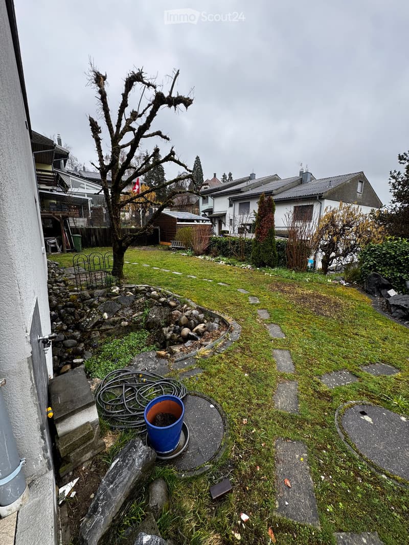 Garden with grass, rocks, a tree, and a blue bucket on a stone platform.