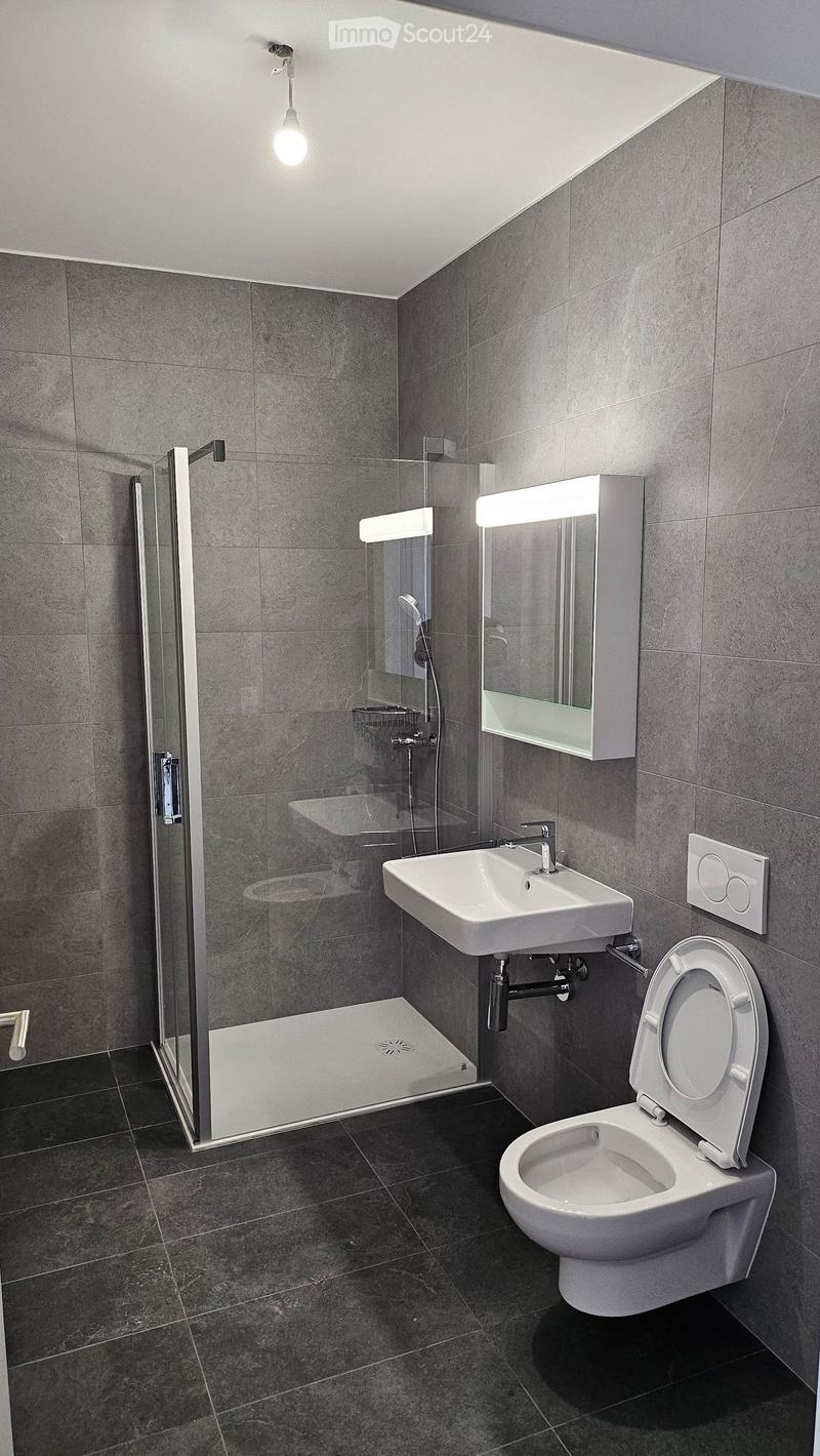 Modern bathroom with dark grey tiles, white toilet, sink, and a glass-enclosed shower area.