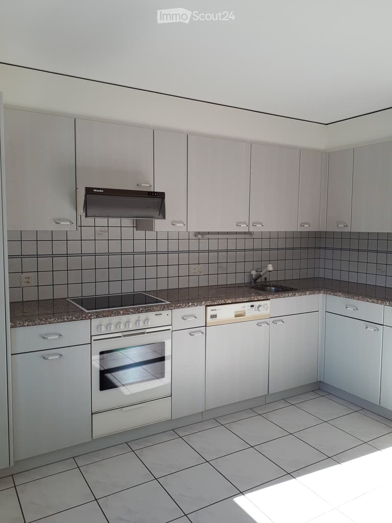 Modern kitchen with light grey cabinets, granite countertop, built-in oven, dishwasher, and range hood.