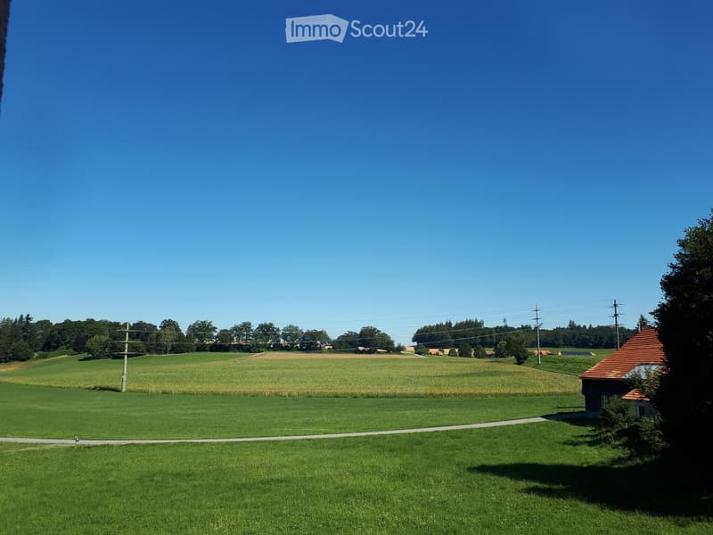Open green field with a small house on the right side, surrounded by trees and a clear blue sky.